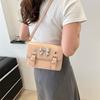 Fashionable Elegant Single Shoulder Crossbody Small Square Bag For Women Spring Trend