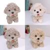 Plush Bichon Frise Dog Toy With Pp Cotton Filling For Kids And Collectors