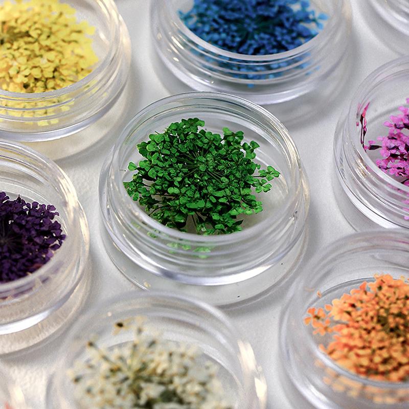 5 st/ask 3D torkade blommor nagelkonstdekorationer torkade blommor klistermärken gör-det-själv manikyr berlocker design för nageltillbehör