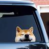 2 Pack 5"x4" Adorable Shiba Inu Vinyl Stickers - Funny Cartoon Design, Waterproof and