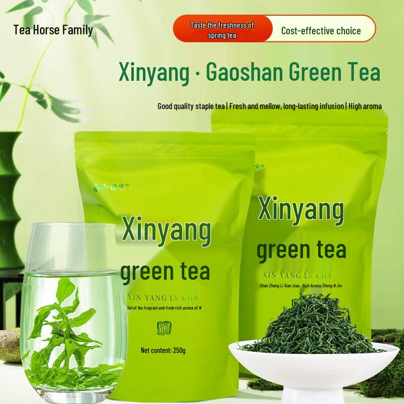Chama Shijia Xinyang High Mountain Green Tea 500g