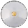 Wadasuke Seisakusho SW Petit Pan Lid, 12cm size, 18-8 Stainless Steel