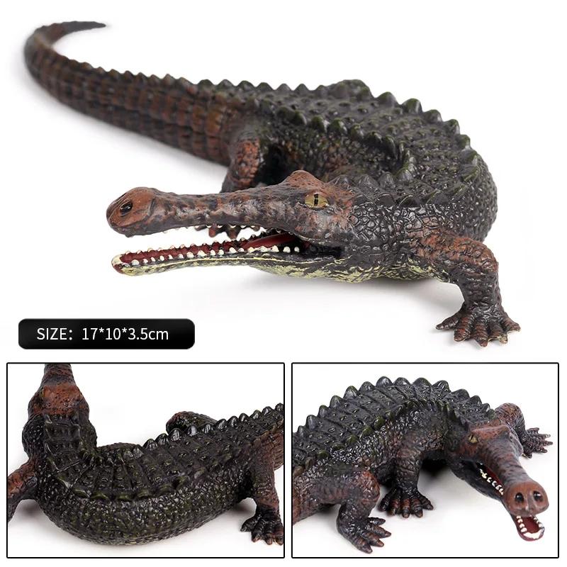 Oenux Prehistoryczny Biegun Południowy Koolasuchus Model Krokodyla Figurki Akcji Dzikie Zwierzęta Morskie PVC Kolekcja Edukacyjna Zabawka dla Dzieci