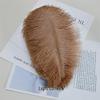 White Ostrich Feathers 15-80cm for Lighting, Wedding Aisle Decor, Photo Props, and Vase Ornaments