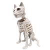 Kostra Kočky Halloweenská Dekorace Strašidelná Sedící Kostra Kočky Figurka Plastové Zvířecí Kosti s Pohyblivými Klouby pro Hřbitovní Scénu Strašidelné Domy