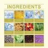 Jaysuing Batana Rosemary Hair Oil - Nourishes The Scalp, Strengthens Hair, Smooths And Adds Shine, Nutritional Care