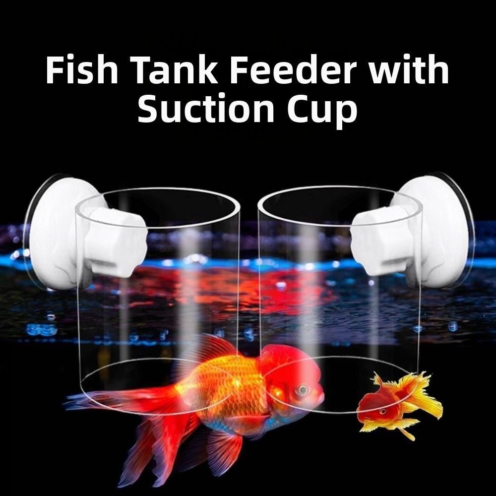 Acrylic Fish Tank Feeder Suction Cups Aquarium Food Ring New Aquarium Feeding Ring  Aquarium Use