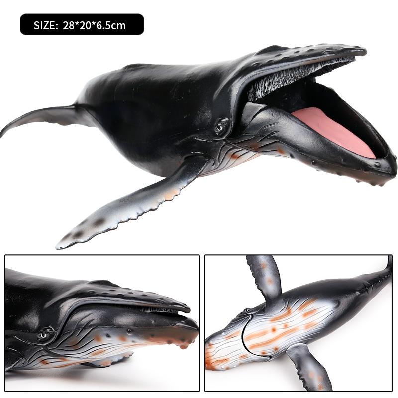 Oenux Ocean Animal Savage Megalodon Beluga Big Shark Orca Sperm Blue Whale Action Figures Sea Life Model Educational Kids Toy