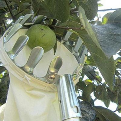 Ergonomik Meyve Seçici Bahçe için Etkili Metal Manuel Anti-pas Toplama Aracı