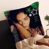 C-Charli Xcx Pillow Cushion Cover Pillowcase Living Room Sofa Home Decor Customized
