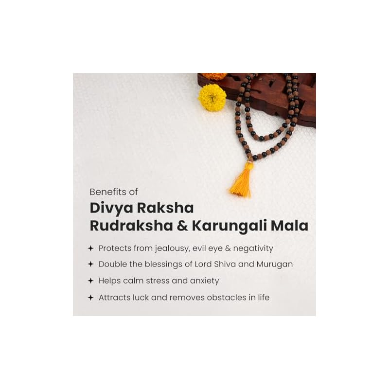 Astrotalk Divya Rudraksha Karungali Mala 8mm 108+1 Beads | Original Rudraksha and Karungali Malai for Protection & Peace