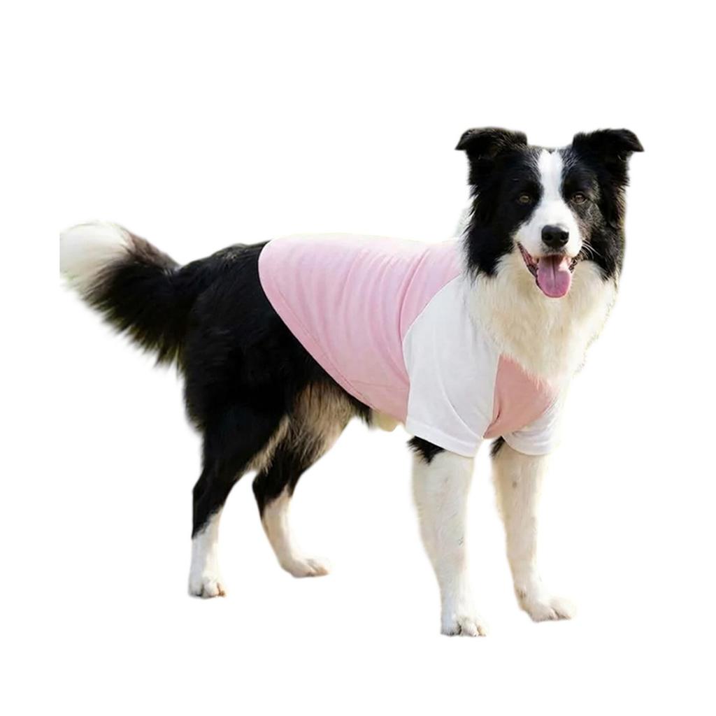 Portman & Pooch Contrast Detail Raglan Dog Top