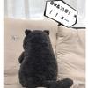 New Arrive 40cm Japanese Kawaii Soft Plush Cat Toys Stuffed Animal Dolls Gift Lovely Fat Cats Pillow Home Decoration