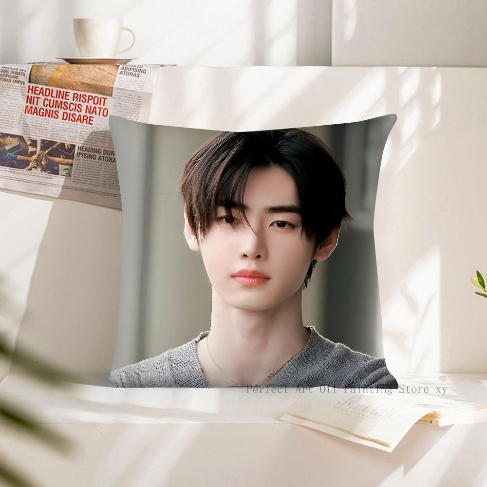 1 Stück KPOP Park Sunghoon Kissenbezug Quadratischer Kissenbezug Schlafzimmer Sofa Raumdekoration Lässig E-ENHYPEN Kissenbezug