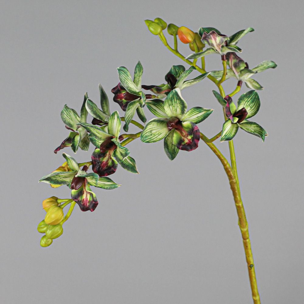 Real Touch Artificial Phalaenopsis Branches 2 Fork Fake Flowers  Garden Decoration