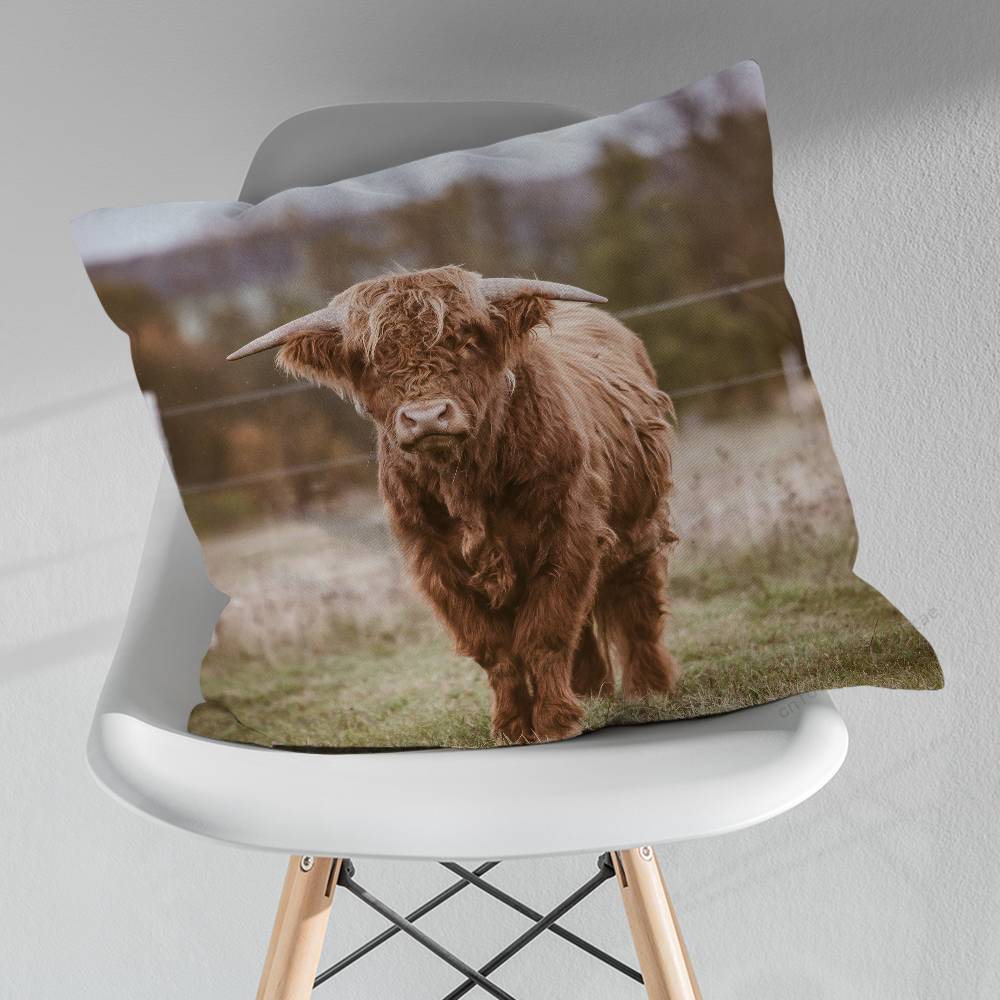 Cute Small Highland Cow Various Sizes Square Pillow Case For Car Home Bedchamber Decor Birthday Gift