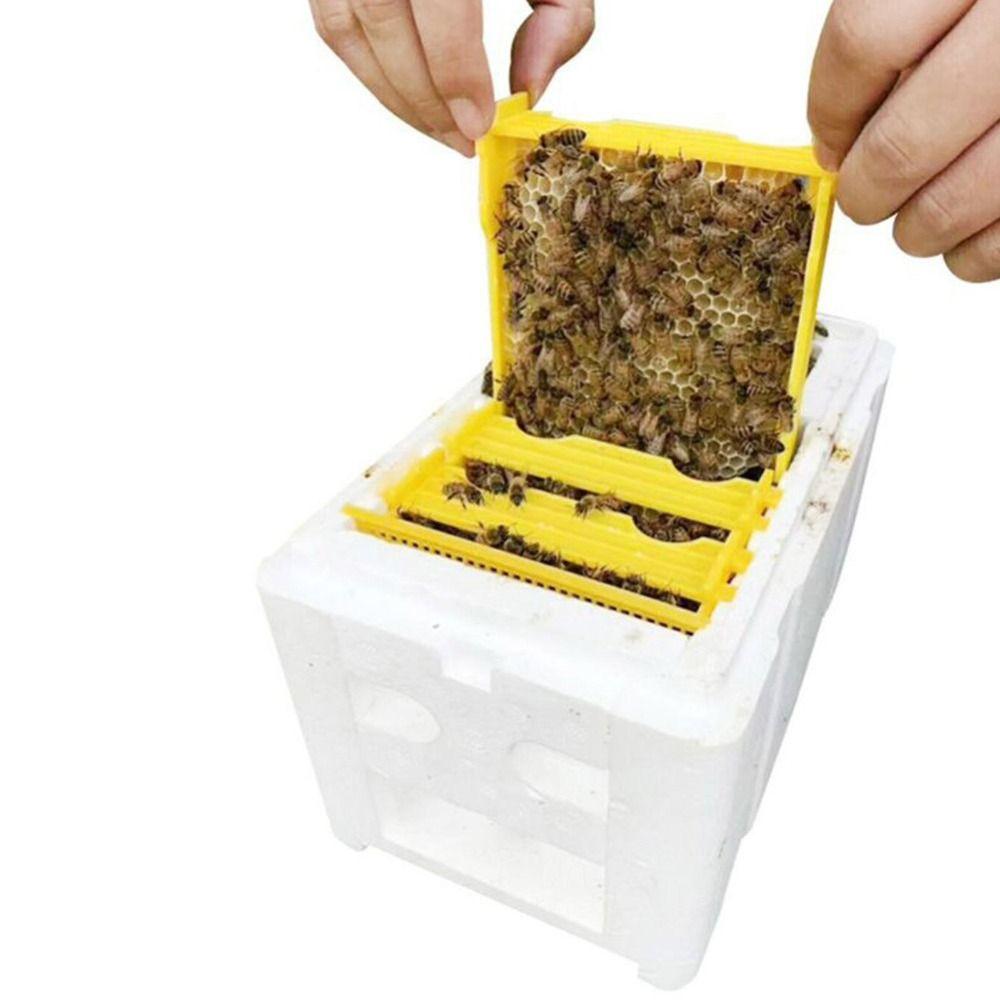 Foam Bee Hive Box Beekeeper Garden Pollination Box Box Bee Mating Box Bee Breeding Case
