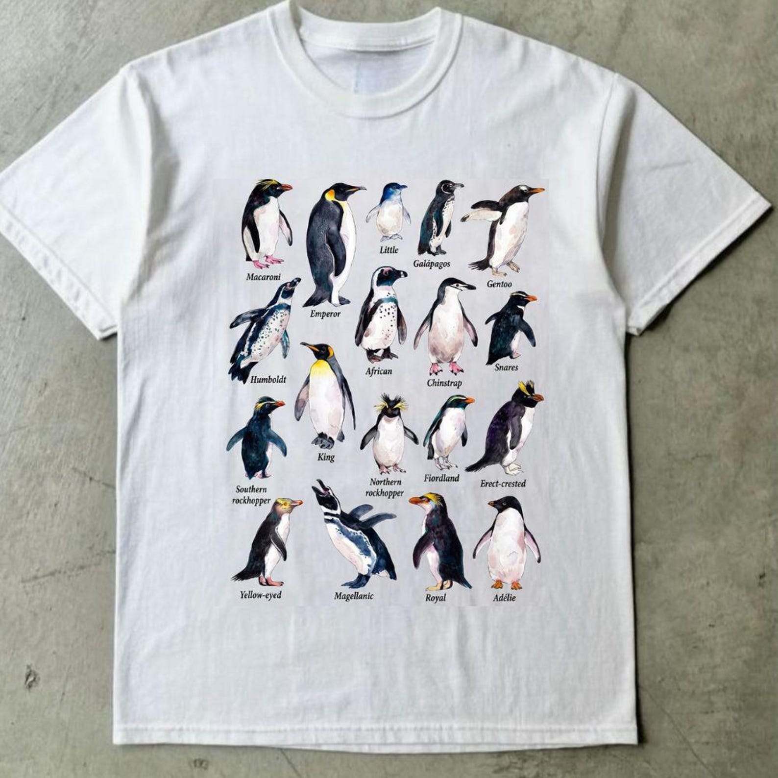 Watercolor Penguin Species Guide Shirt, Educational Bird Lover Tee 3XL