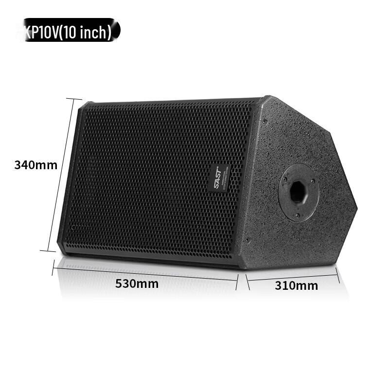 SAST KP10V 10-inch Professional Passive Stage Speaker Pair
