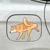 Accessori esterni – Adesivi per auto
