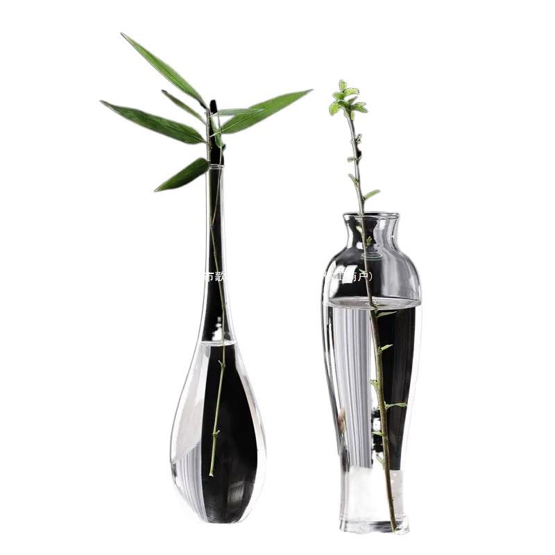 Zen Transparent Glass Vase for Hydroponic Plants and Small Mouth Flower Arrangements