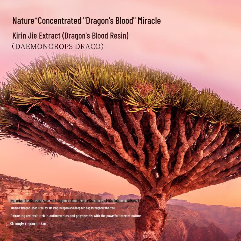 FAN BEAUTY DIARY Dragon's Blood Repair Mask