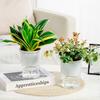 Self Watering Planter Pots African Violet Pots for Indoor Outdoor Windowsill Garden Modern Plastic Plant Pot with Wick Rope And Reservoir