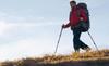Ulanzi TT35 Hiking Poles