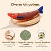 Cat Toy Catnip 3D Simulation Fish Goldfish Kitten Toys Pillowfish Interactive Sounding Cat Chew Bite Plush Toys Cat Supplies