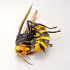 Kaiyodo Rebogio Giant Hornet, Approximately 180mm In Length, PVC & ABS, Painted, Movable Figure, Resale, RG004S