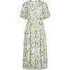 Juzhi Annakou Women's Botanical Print Chiffon Dress