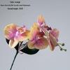 Starry Sky Milk Tea Phalaenopsis Orchid with Leaves - INS Style Faux Flower for Home Decor and Weddings