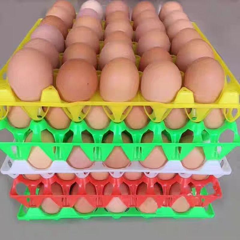 Vassoio per uova in plastica TS
