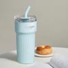 HOLOHOLO Insulated Stainless Steel Travel Mug with Straw