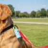 Mini Pet Garbage Bag Dispenser Thickened Pet Waste Bag Dispenser Dog Trash Bag Dispenser  Outdoor