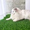 Comfortable Artificial Dog Grass Mat Washable Pet Pee Grass Pad Pet Lawn Mat  Indoor