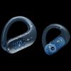 JBL Endurance Peak 3 True Wireless Sport Earbuds