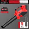 DELIXI ELECTRIC Cordless Blower CN plug (adapter included)