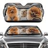 A Single Pet-Themed Sunshade For The Front Windshield Featuring A Cute Pomeranian Design, Suitable For Most Vehicle Types Includ