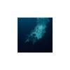Through Water Edition Limitée Vinyle Transparent
