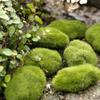 Fake Stone Artificial Moss Rocks Home Decor Micro Landscape Simulation Plant DIY Decoration for Garden and Crafting Home Decor