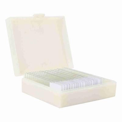 Microbiological Bacterial Specimens Biology Microscope   Specimen Microscope Slide Prepared Slide Specimens Slide