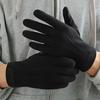 Men's Thermal Winter Gloves Cold Weather Fleece-Lined Full Finger Gloves for Cycling, Outdoor Travel & Daily Use Casual Style Gloves