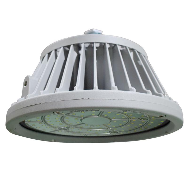 SEVA 80W LED Work Light