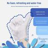Pet Cleaning Disposable Wet Wipes and Gloves: Deodorizing Care for Cats and Dogs