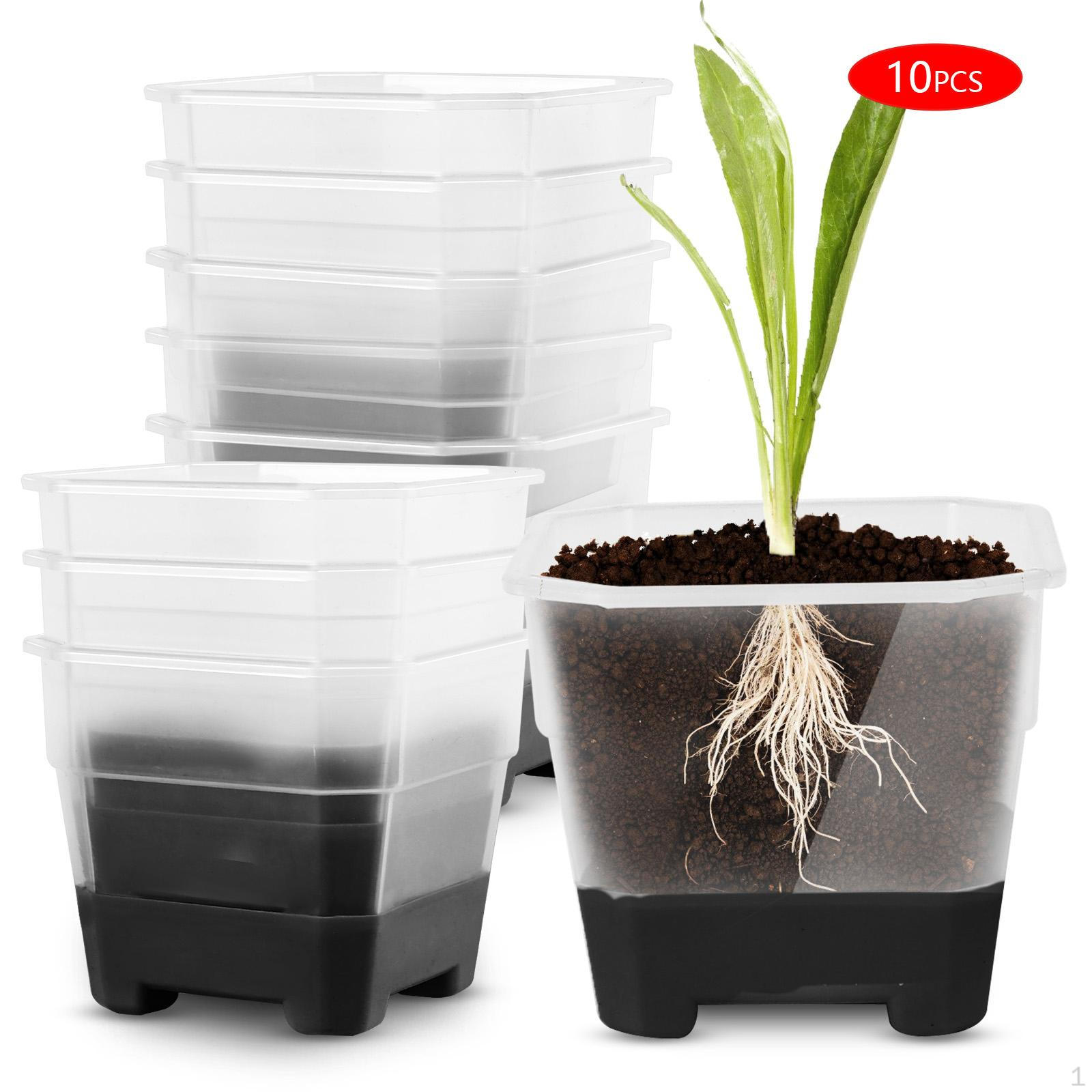 

10 Pieces Nursery Pots Clear Planting for Easy Transplant Bonsai Plants чёрный