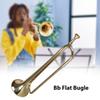 Brass Trumpet Bb Flat Bugle with Mouthpiece Orchestra Music Instrument Gold Lacquer Finish for