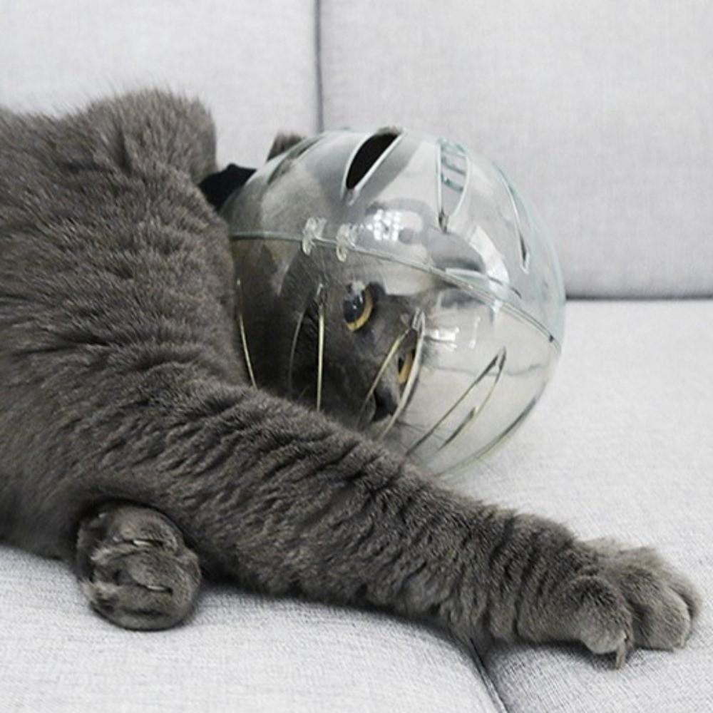 Ball-shaped Pet Space Hood Sturdy Pet Protective Helmet Grooming Help Anti-bite Mask  Trim Nails