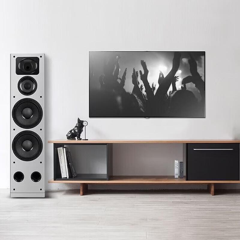 SANSUI T5 Home KTV Bluetooth Speaker System (CN version)