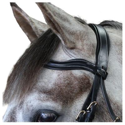 Whitaker Pick N Mix Leather Curved Horse Browband